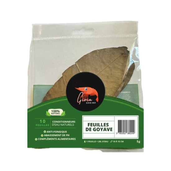 Feuilles de goyave x10 pour crevettes de Gioia Shrimp, les lollies dans G0901