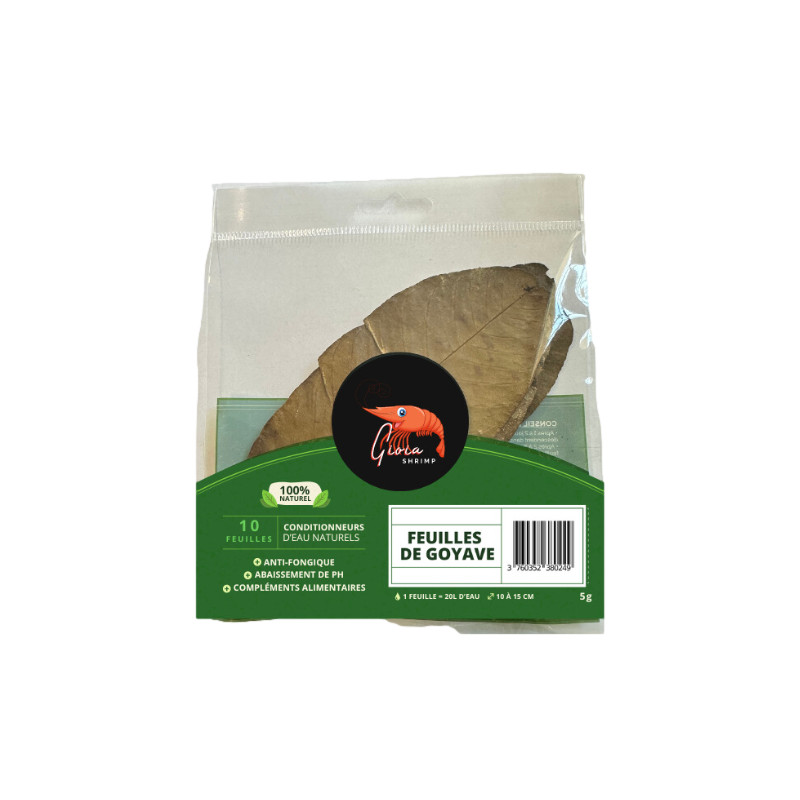 Feuilles de goyave x10 pour crevettes de Gioia Shrimp, les lollies dans G0901