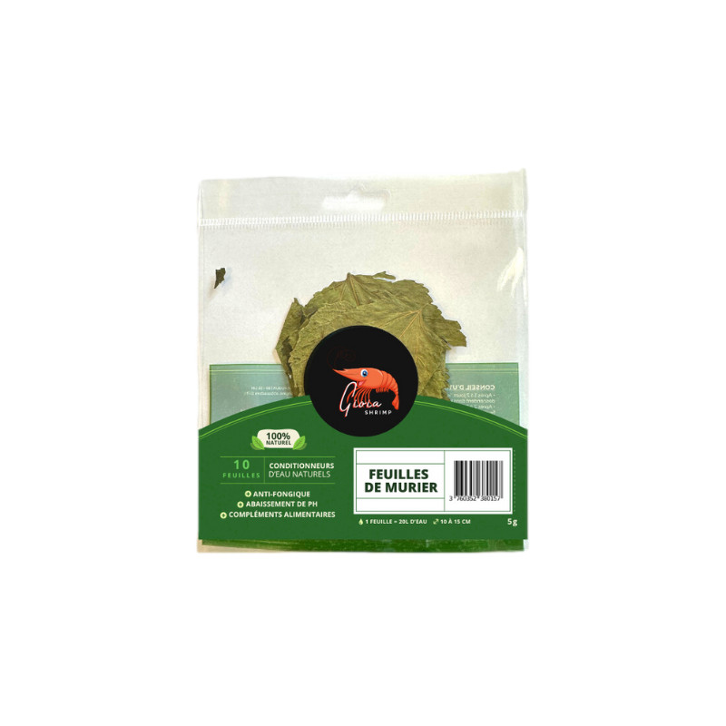 Feuilles de mûrier x10 pour crevettes de Gioia Shrimp, les lollies dans G0901