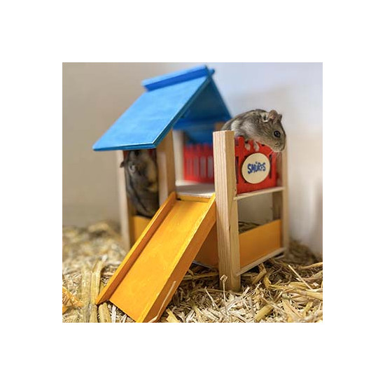 Les schtroumpfs terrain de jeu 25x20x21cm de Laroy - aliments et d'accessoires pour animaux de compagnie dans L043