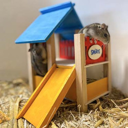 Les schtroumpfs terrain de jeu 25x20x21cm de Laroy - aliments et d'accessoires pour animaux de compagnie dans L043