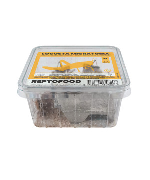 Repto criquets migrateurs m box de Jardinerie Bordeaux Libourne Gironde dans A075