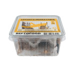 Repto criquets migrateurs l box (semi-adultes) de Jardinerie Bordeaux Libourne Gironde dans A075