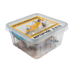 Repto criquets migrateurs l box (semi-adultes) de Jardinerie Bordeaux Libourne Gironde dans A075
