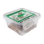 Criquets migrateurs l 100pcs (subadultes) de Jardinerie Bordeaux Libourne Gironde dans A075