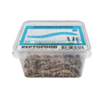 Repto vers morio box 50g de Jardinerie Bordeaux Libourne Gironde dans A075