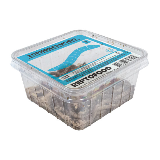 Repto vers morio box 50g de Jardinerie Bordeaux Libourne Gironde dans A075