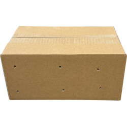 Criquets migrateurs xl 100pcs (adultes) de Jardinerie Bordeaux Libourne Gironde dans A075