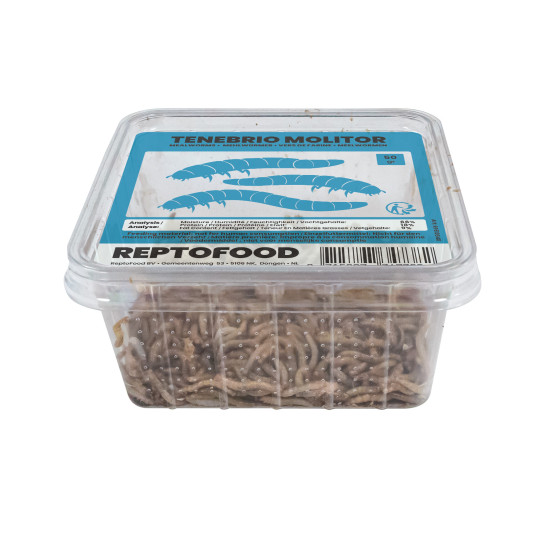 Repto vers de farine box 50g de Jardinerie Bordeaux Libourne Gironde dans A075