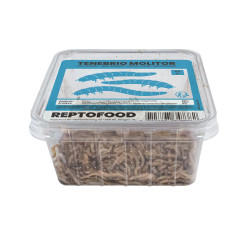 Repto vers de farine box 50g de Jardinerie Bordeaux Libourne Gironde dans A075