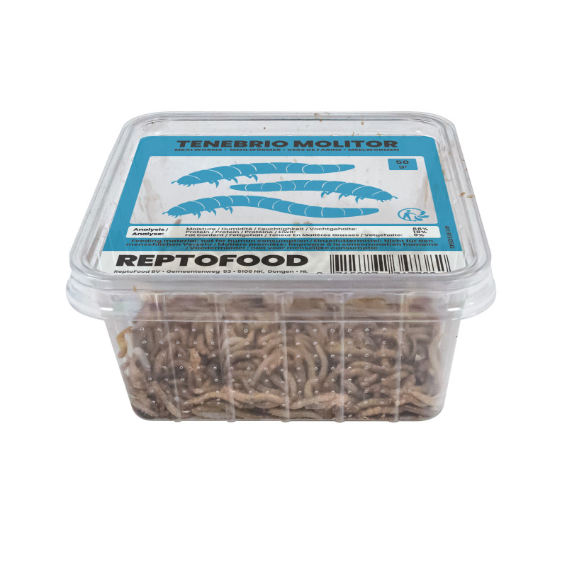 Repto vers de farine box 50g de Jardinerie Bordeaux Libourne Gironde dans A075