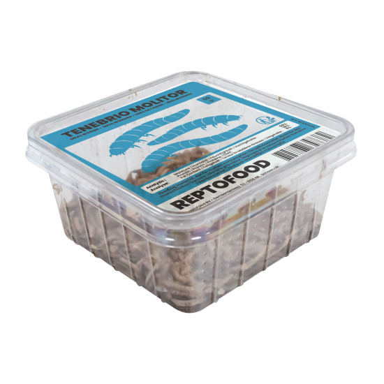 Repto vers de farine box 50g de Jardinerie Bordeaux Libourne Gironde dans A075