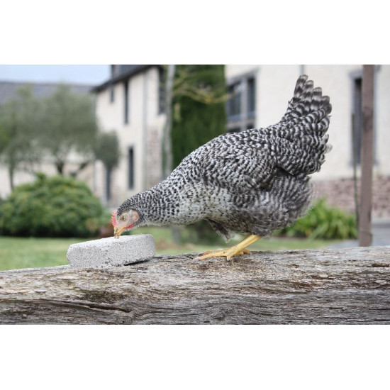 Bloc a picorer magalli 1kg de Animalerie Libourne et Bordeaux - Gironde dans Complements pour poules