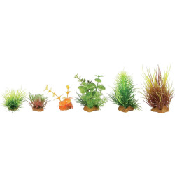 Kit plantes pour aquarium mini x6 mod3 de Zolux - Produit pour animaux dans Z002