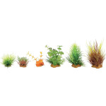 Kit plantes pour aquarium mini x6 mod3 de Zolux - Produit pour animaux dans Z002