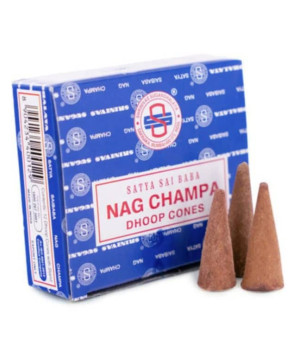 Encens satya - nag champa - dhoop cones de Herboristerie et Esotérisme à Libourne dans D040
