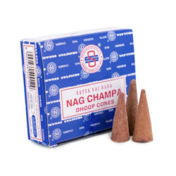 Encens satya - nag champa - dhoop cones de Herboristerie et Esotérisme à Libourne dans D040