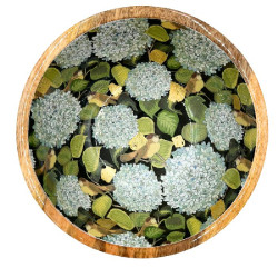 Plat bois manguier hortensia bleu d25cm de Jardinerie Bordeaux Libourne Gironde dans B1171