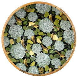 Plat bois manguier hortensia bleu d35cm de Jardinerie Bordeaux Libourne Gironde dans B1171