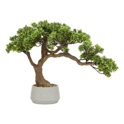 Bonsai polin dans pot ceramique h45cm de Jardinerie Bordeaux Libourne Gironde dans Plantes artificielles