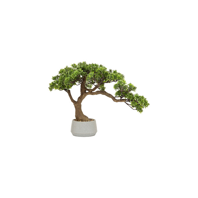 Bonsai polin dans pot ceramique h45cm de Jardinerie Bordeaux Libourne Gironde dans Plantes artificielles
