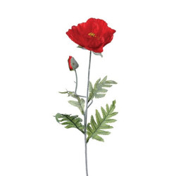 Tige coquelicot rouge h70cm de Jardinerie Bordeaux Libourne Gironde dans J031