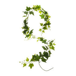 Guirlande lierre efeja h190cm de Jardinerie Bordeaux Libourne Gironde dans J031