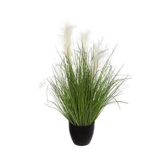 Bunch herbe afy dans pot plastique h70cm de Jardinerie Bordeaux Libourne Gironde dans Plantes artificielles