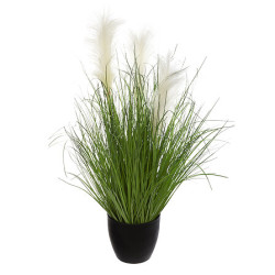 Bunch herbe afy dans pot plastique h70cm de Jardinerie Bordeaux Libourne Gironde dans Plantes artificielles