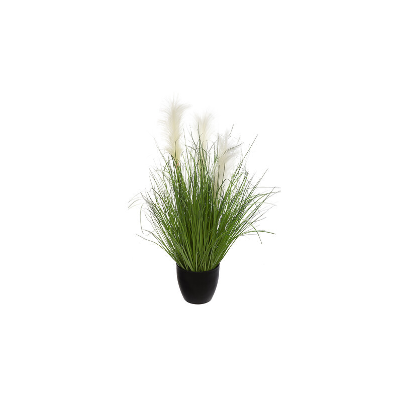 Bunch herbe afy dans pot plastique h70cm de Jardinerie Bordeaux Libourne Gironde dans Plantes artificielles