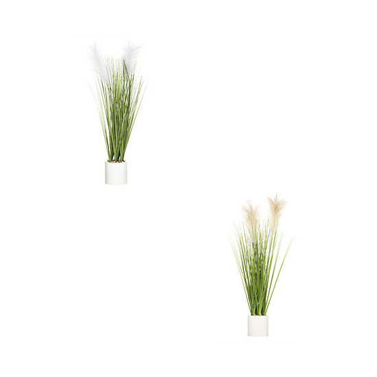 Plumeau spalvu dans/pot ciment ass h70cm de Jardinerie Bordeaux Libourne Gironde dans J031