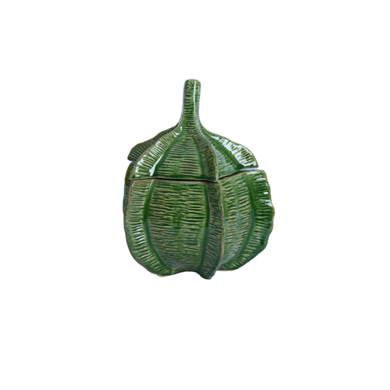 Boite deco sabara vert brillant d21 h27cm de Jardinerie Bordeaux Libourne Gironde dans L1371