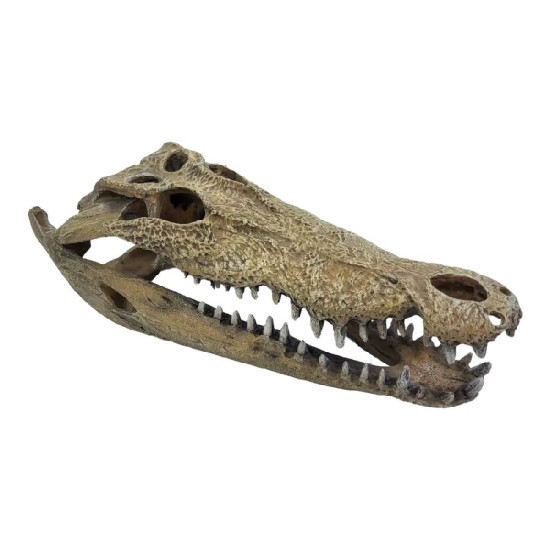 Deco terrarium crocodile xxl de Habistat, le matériel pour les reptiles dans A075