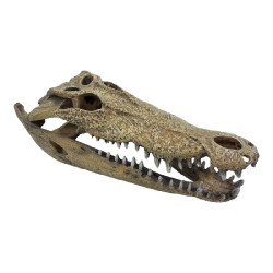 Deco terrarium crocodile xxl de Habistat, le matériel pour les reptiles dans A075
