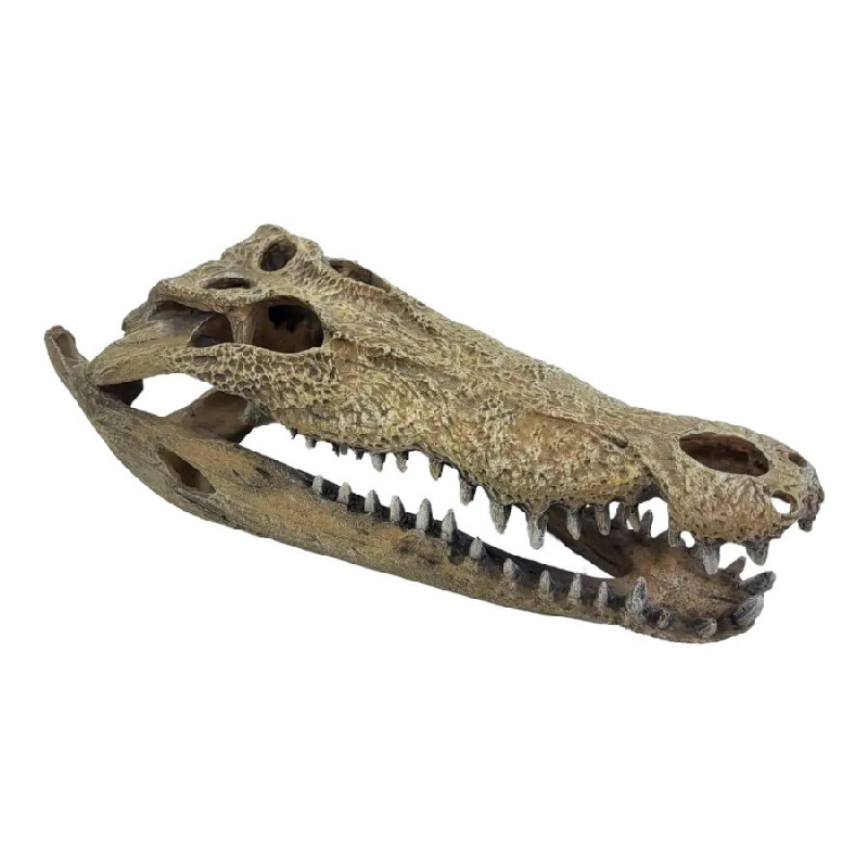 Deco terrarium crocodile xxl de Habistat, le matériel pour les reptiles dans A075