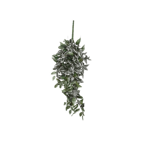 Chute tradescantia vert l80xb30xh15cm de Jardinerie Bordeaux Libourne Gironde dans E009