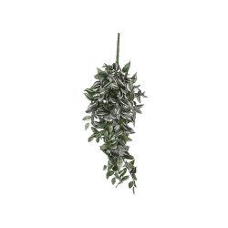 Chute tradescantia vert l80xb30xh15cm de Jardinerie Bordeaux Libourne Gironde dans E009