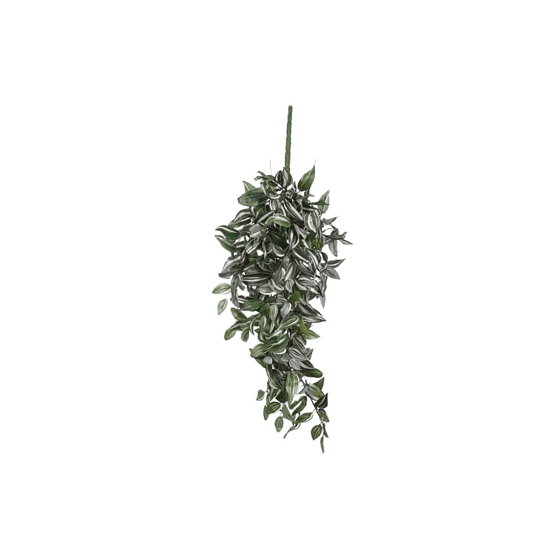 Chute tradescantia vert l80xb30xh15cm de Jardinerie Bordeaux Libourne Gironde dans E009