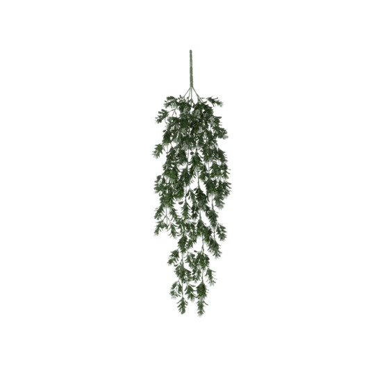 Schefflera a suspendre vert l75xb20xh10cm de Jardinerie Bordeaux Libourne Gironde dans E009
