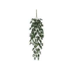 Schefflera a suspendre vert l75xb20xh10cm de Jardinerie Bordeaux Libourne Gironde dans E009