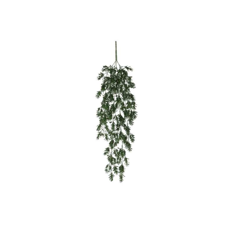 Schefflera a suspendre vert l75xb20xh10cm de Jardinerie Bordeaux Libourne Gironde dans E009
