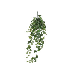 Lierre a suspendre vert panache l86xb22xh15cm de Jardinerie Bordeaux Libourne Gironde dans E009