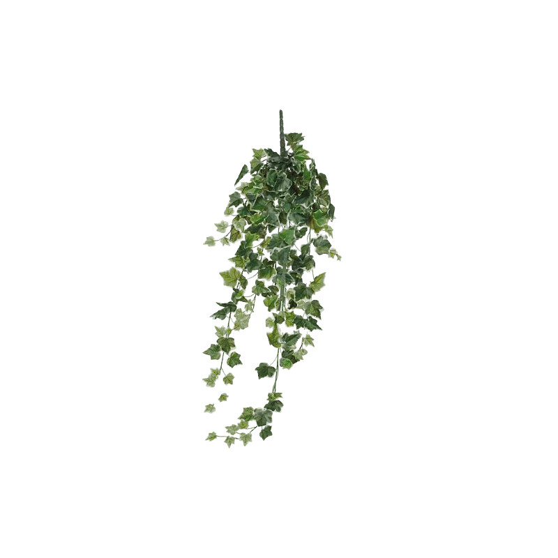 Lierre a suspendre vert panache l86xb22xh15cm de Jardinerie Bordeaux Libourne Gironde dans E009