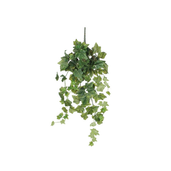 Lierre a suspendre vert l71xb20xh15cm de Jardinerie Bordeaux Libourne Gironde dans E009