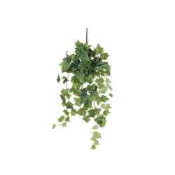 Lierre a suspendre vert l71xb20xh15cm de Jardinerie Bordeaux Libourne Gironde dans E009