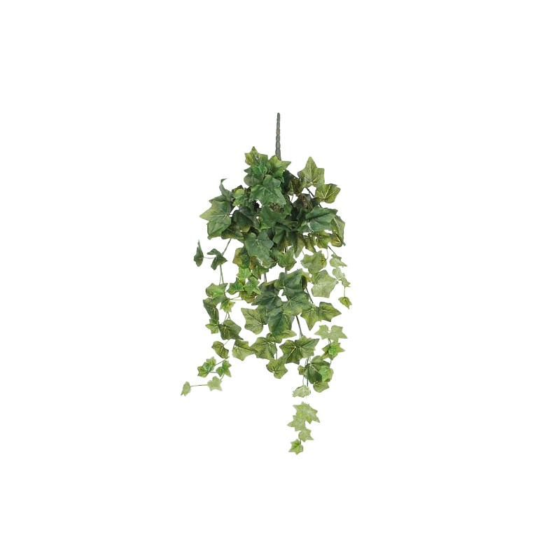 Lierre a suspendre vert l71xb20xh15cm de Jardinerie Bordeaux Libourne Gironde dans E009