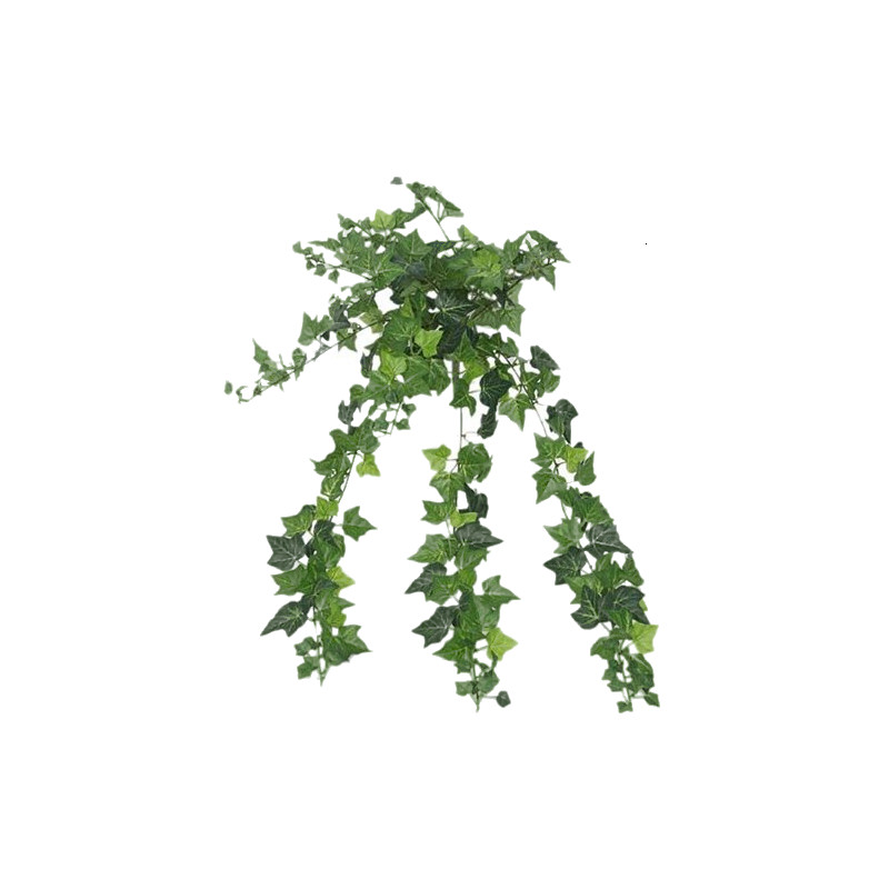 Lierre a suspendre vert l85cm de Jardinerie Bordeaux Libourne Gironde dans E009