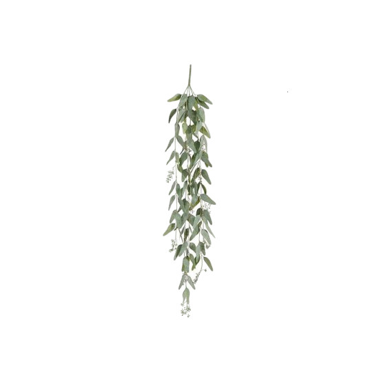 Eucalyptus a suspendre vert l117xb20xh4cm de Jardinerie Bordeaux Libourne Gironde dans E009