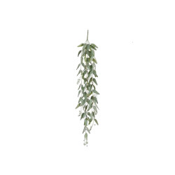 Eucalyptus a suspendre vert l117xb20xh4cm de Jardinerie Bordeaux Libourne Gironde dans E009