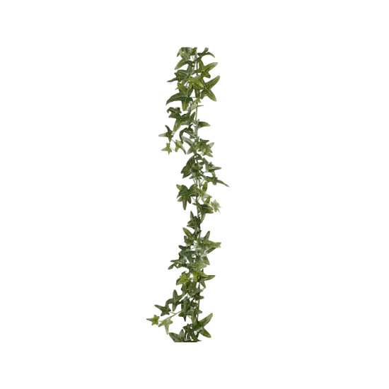 Guirlande lierre vert l180xb12xh5cm de Jardinerie Bordeaux Libourne Gironde dans E009